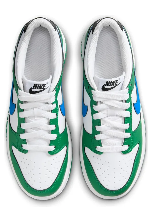 nike-dunk FZ4357-300