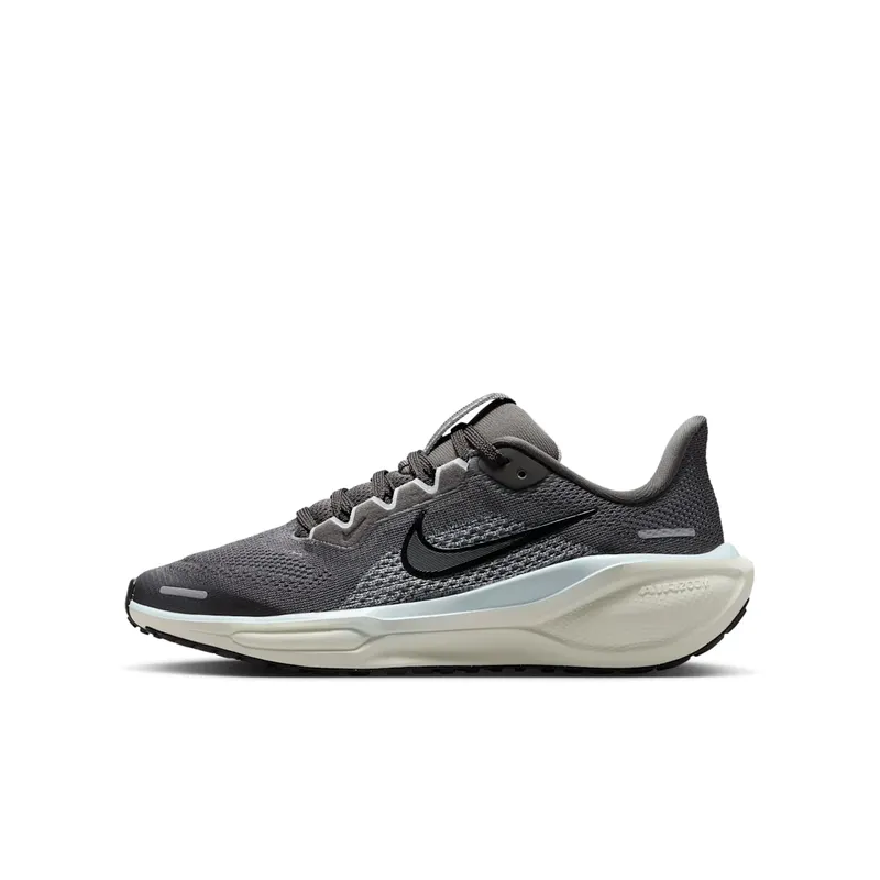 Nike Air Zoom Pegasus 41 Medium Ash Pale Ivory Black (FN5041-201)