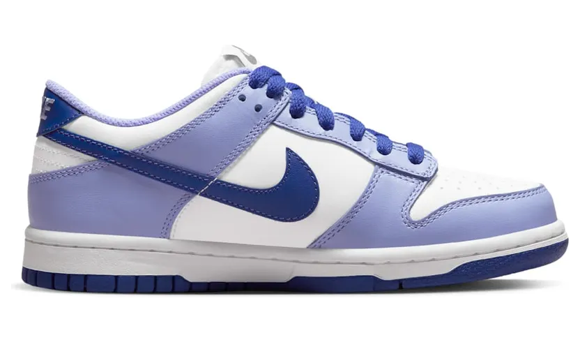 nike-dunk DZ4456-100