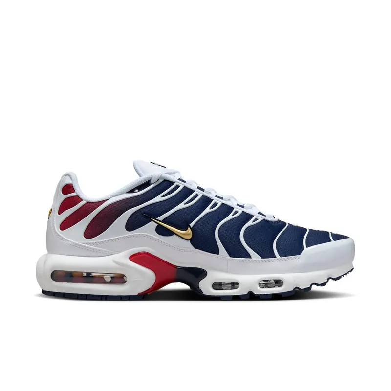 Nike Air Max Plus “PSG” (FZ4776-100)