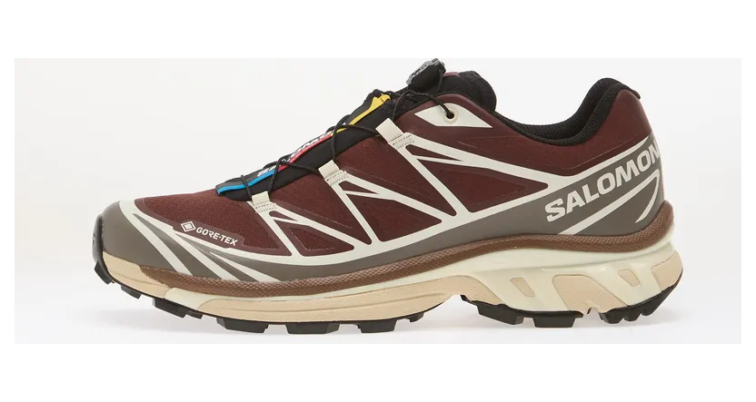 Sneakers Salomon XT-6 GTX Bchoco/ Iron/ Vanila (L49215200)