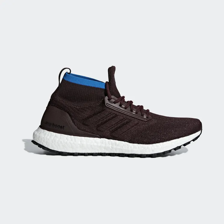 Adidas Ultra Boost All Terrain Night Red (CM8255)
