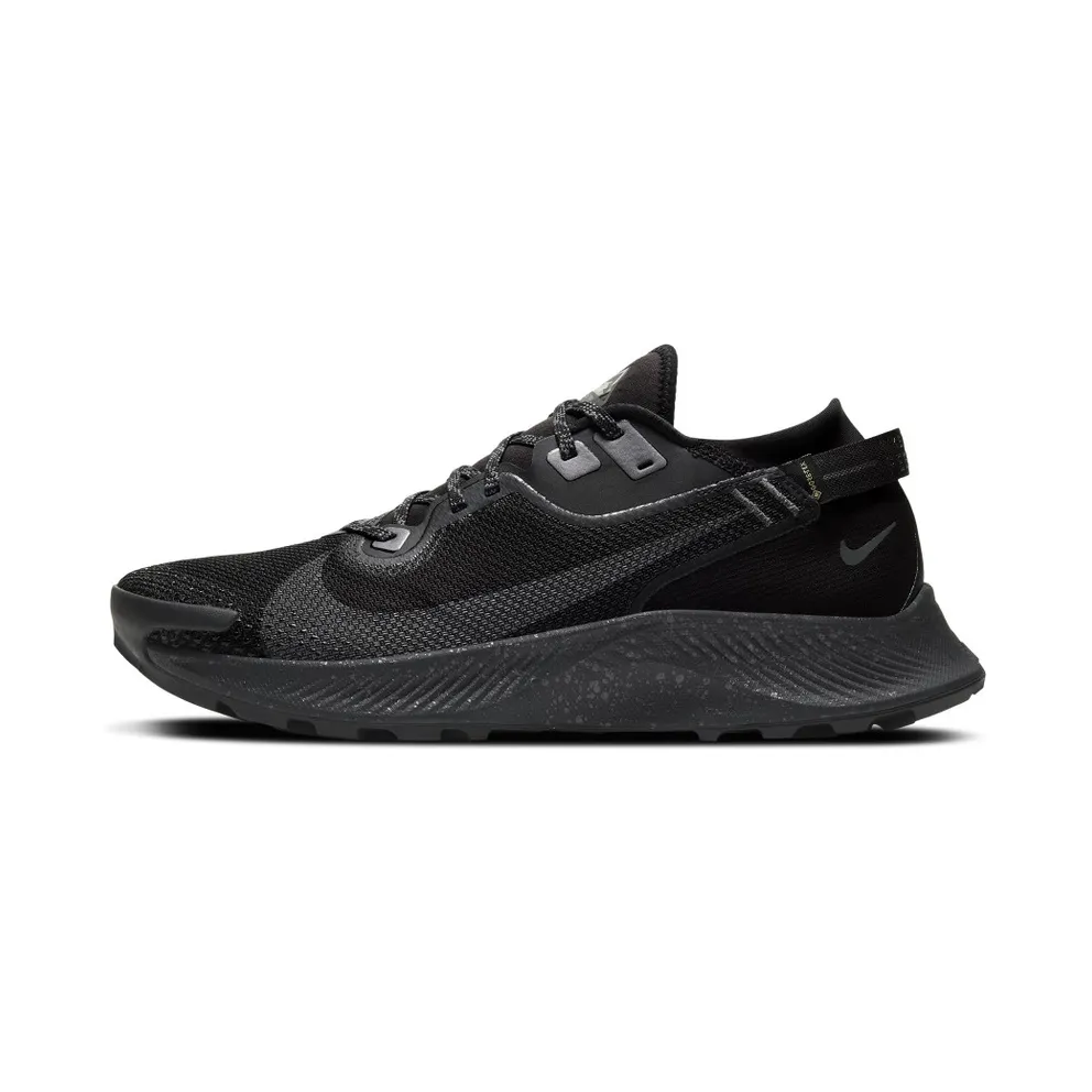Nike Pegasus Trail 2 GORE-TEX Trail Running Black (CU2016-001)