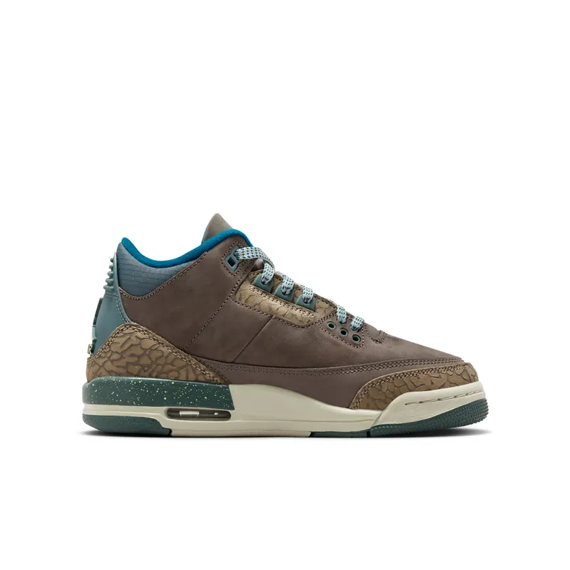 Air Jordan 3 GS “We Outside” (IB7066-001)