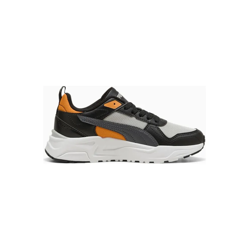Puma Trinity Cool Light Gray-Moody Gray-PUMA Black (403703-15)