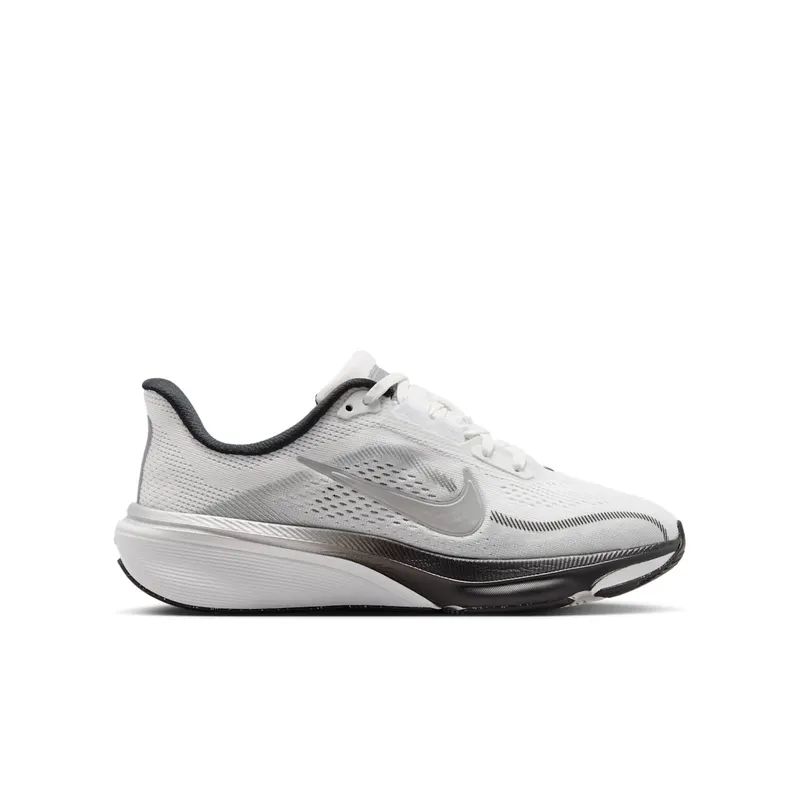 Nike Pegasus Summit White/Metallic Silver/Photon Dust/White (IR4146-100)