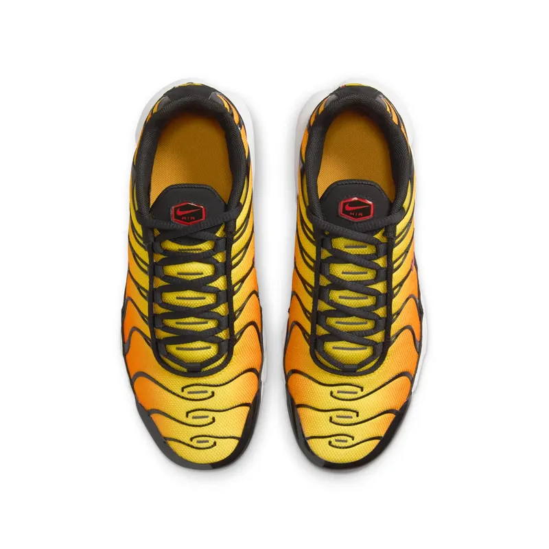 Nike Air Max Plus Sunset (2024) (CD0609-029)