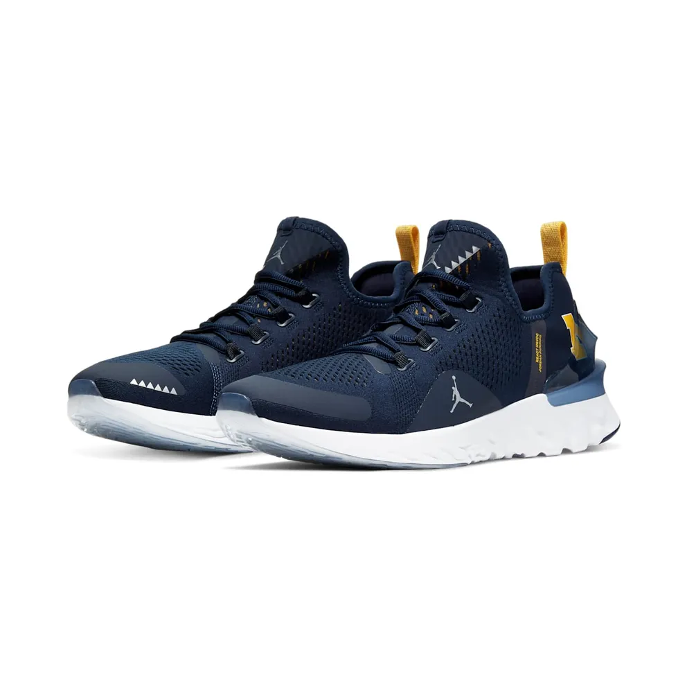 Jordan React Havoc Michigan College Navy/Metallic Silver-White-Amarillo (CJ6748-407)