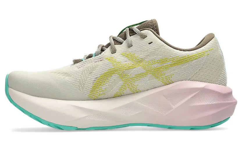 asics-novablast 1012B983-020