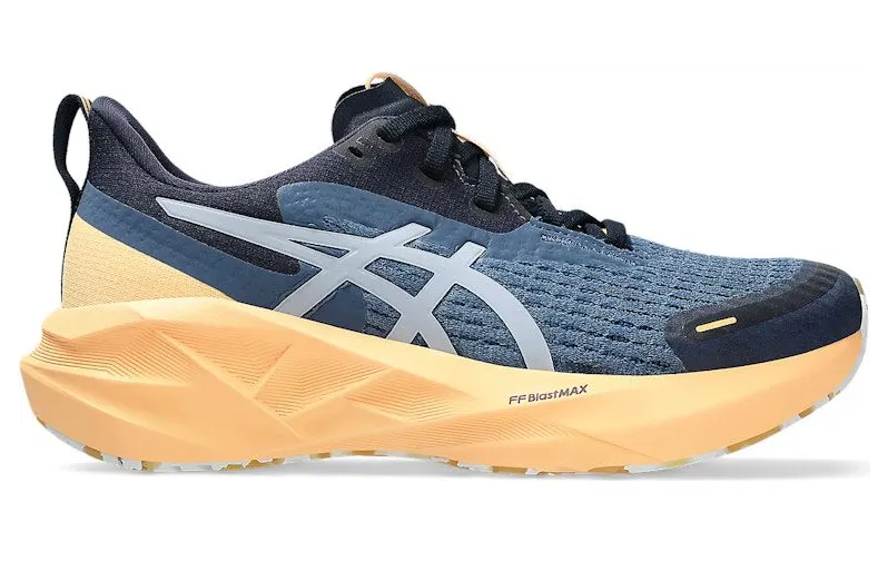 asics-novablast 1012B910-400