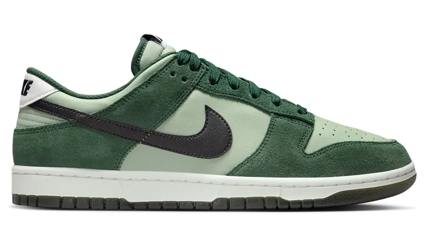 nike-dunk IB6399-301