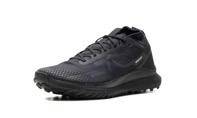 Nike React Pegasus Trail 4 “Black Anthracite Velvet Brow” (HM9728-002)