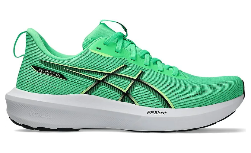 asics-gt-1000 1011C077-300
