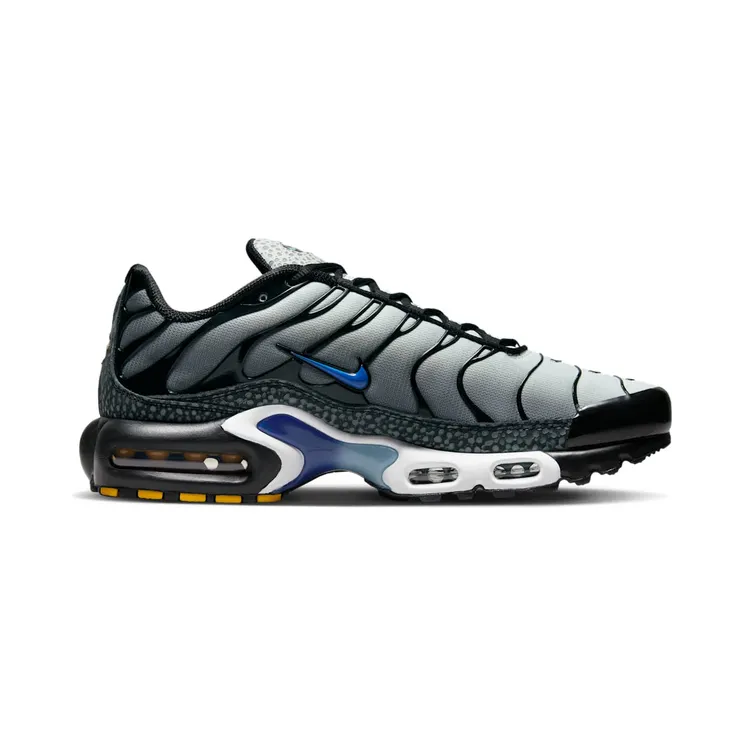 nike-air-max FD9755-001