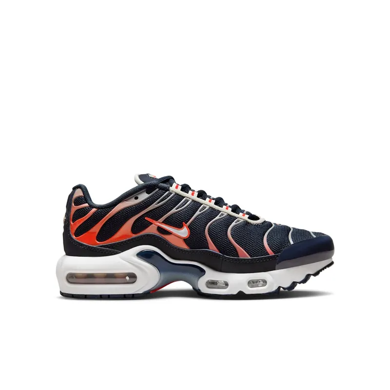 Nike Air Max Plus Dark Obsidian Bright Crimson (CD0609-408)