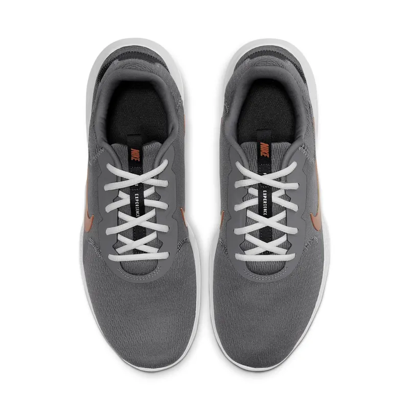 Nike Flex Experience Run 9 Smoke Grey Smoke Grey/Dark Smoke Grey/Photon Dust (CD0225-003)