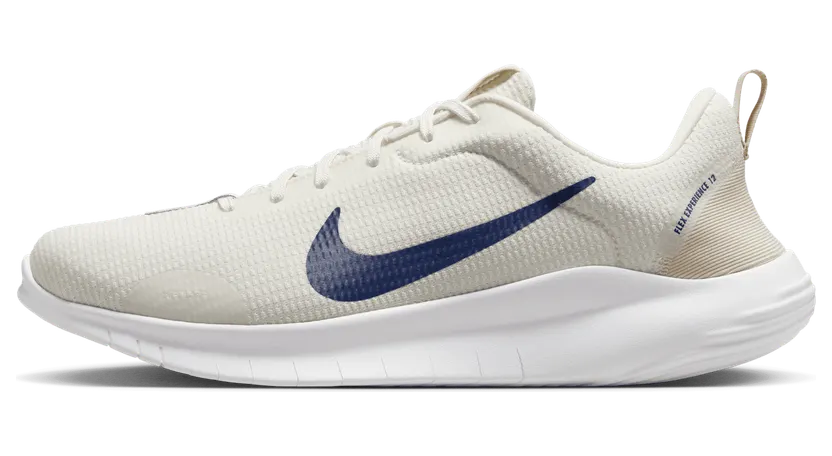 Nike Flex Experience Run 12 Sail Light Orewood Brown Deep Royal Blue (DV0740-103)