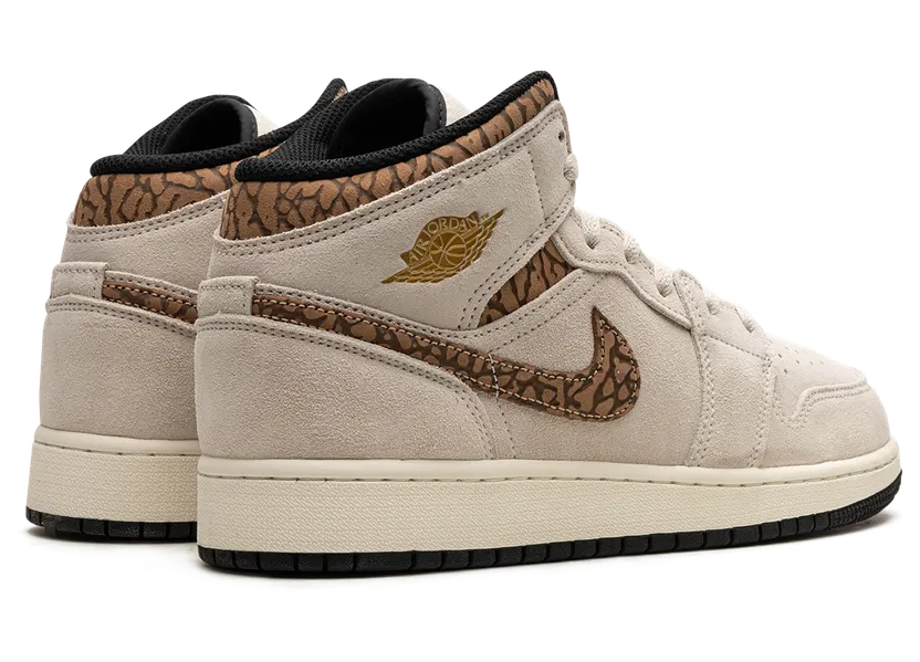 air-jordan-1 DZ5369-102