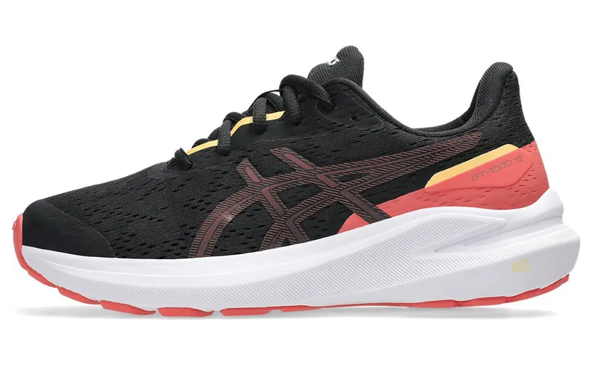 asics-gt-1000 1014A343-009