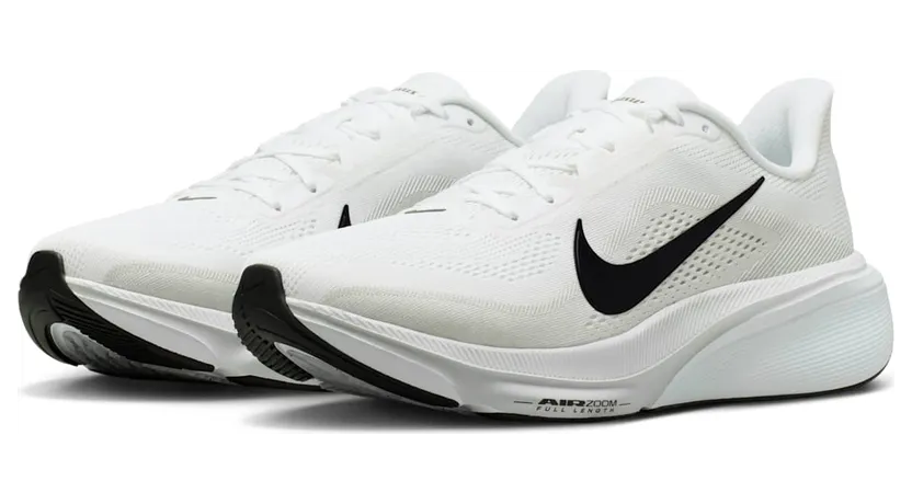 nike-air-pegasus IB1873-101