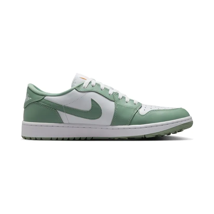 air-jordan-1 DD9315-008