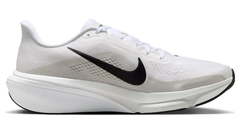 nike-air-pegasus IB1873-101