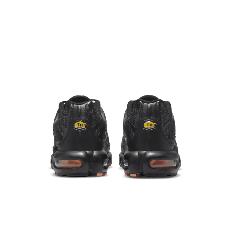Nike Air Max Plus 3D Swoosh Black (DR0138-001)