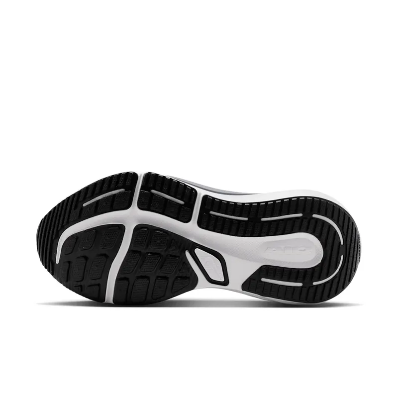 Nike Winflo 12 Black (HV9273-002)