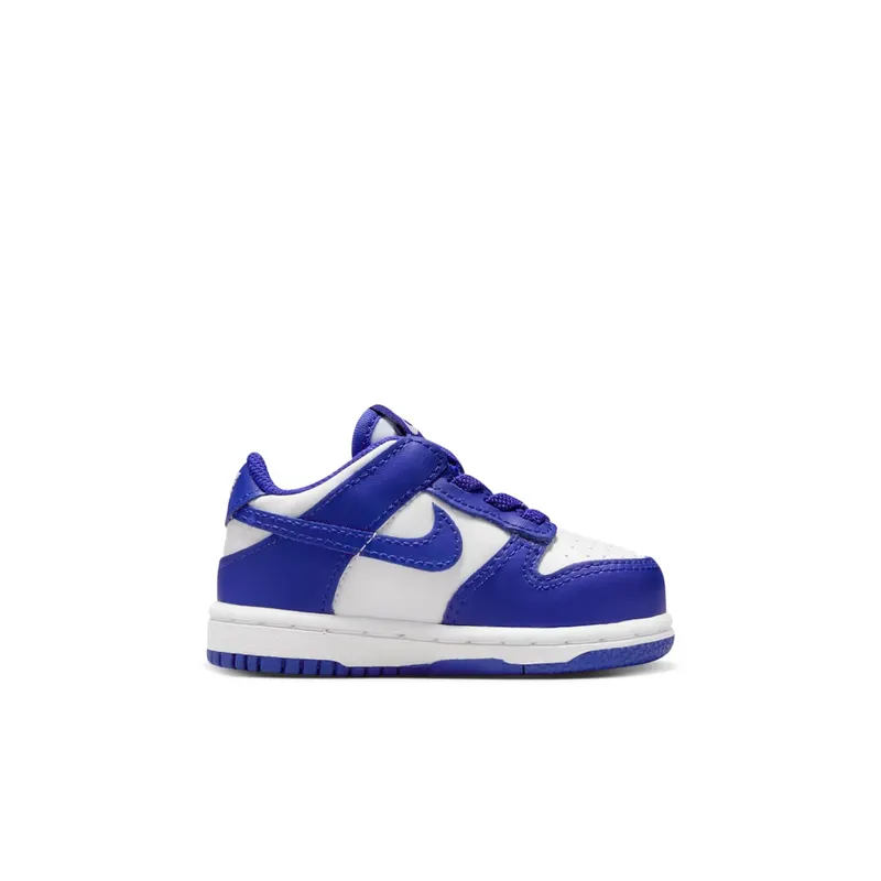 Nike Dunk Low Concord (FB9107-106)