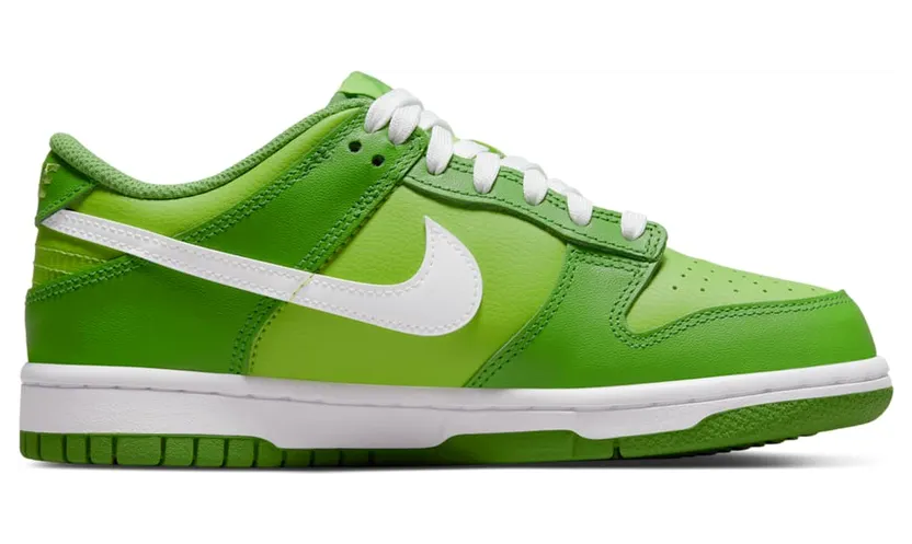 nike-dunk DH9765-301