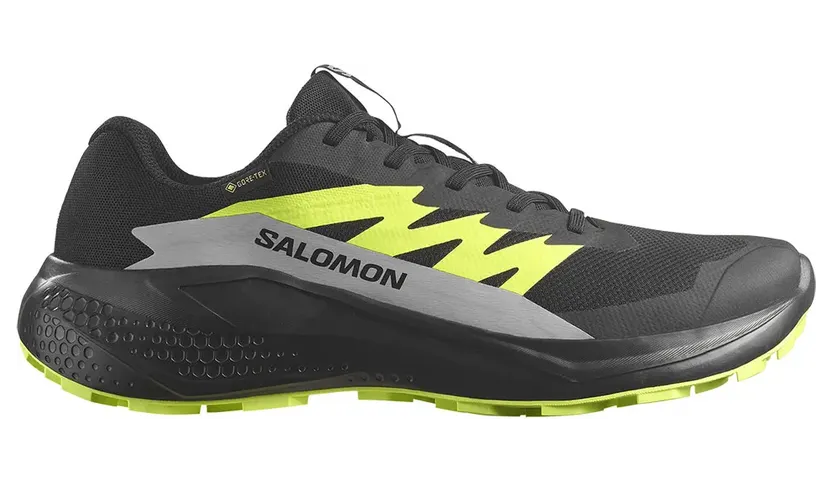 Salomon Alphaglide Gore-Tex Black Alloy Sharp Green (L47802000)
