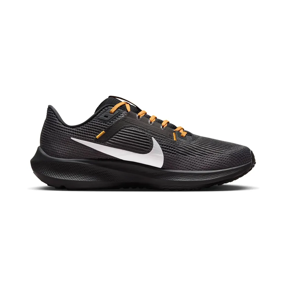 Nike Pegasus 40 Pittsburgh Steelers (DZ6006-001)