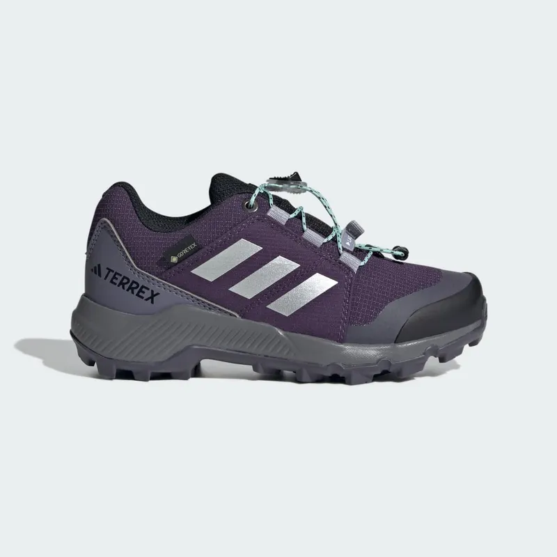 Adidas Terrex GORE-TEX Hiking Aurora Plum / Silver Metallic / Semi Flash Aqua (JS2930)