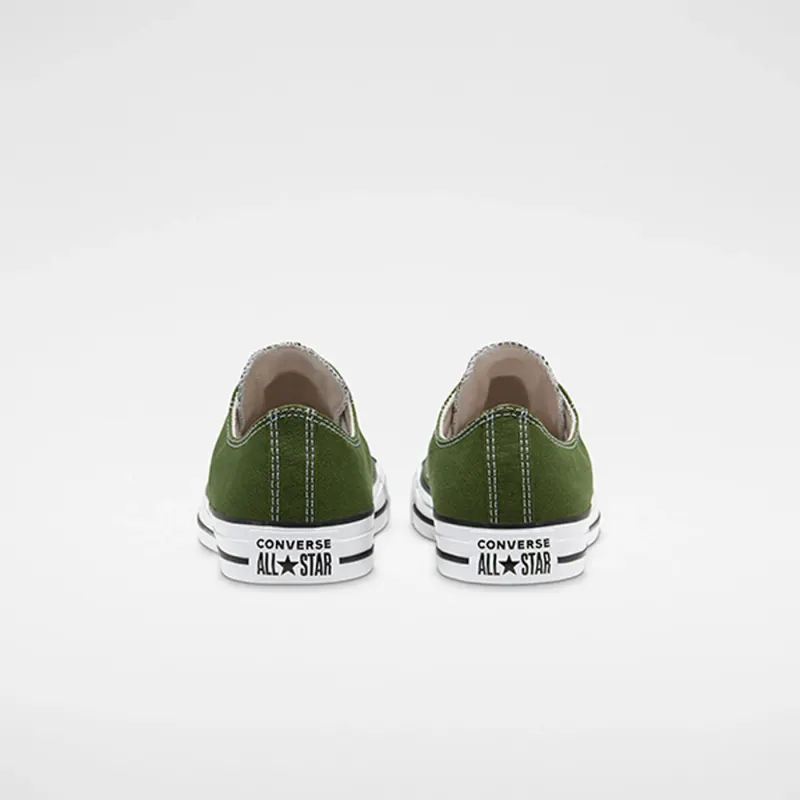 Converse Seasonal Colour Chuck Taylor All Star Low Top (166711C)