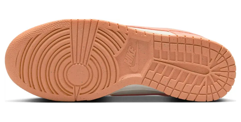 nike-dunk HJ7673-003