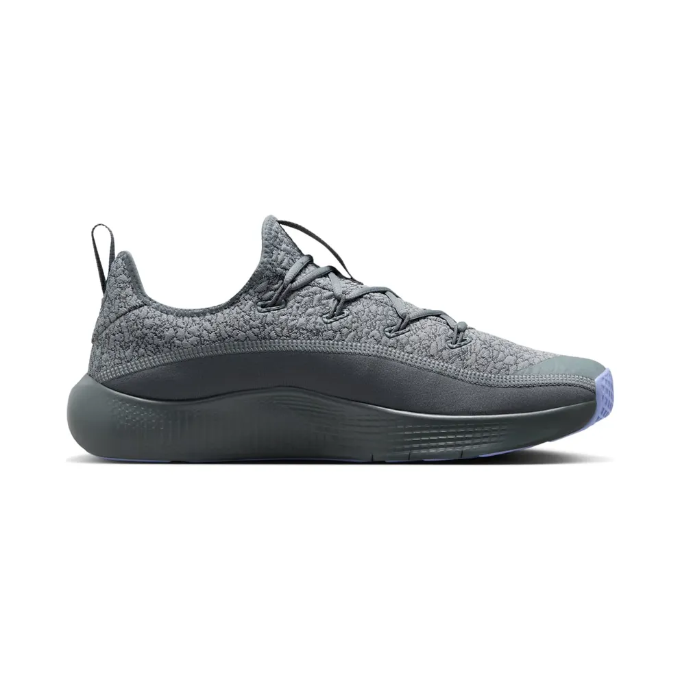 Nike LeBron TR 1 Cool Grey Aluminum (FJ6151-008)