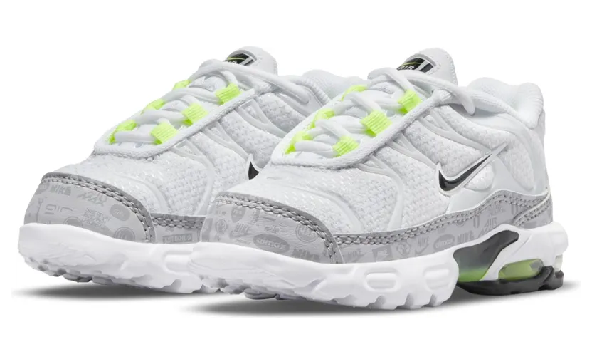 Nike Air Max Plus Grijs (CD0611-015)