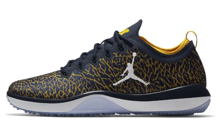 Jordan Trainer 1 Low Michigan