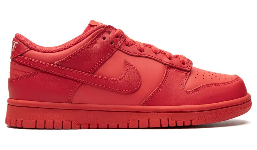 nike-dunk DH9765-601