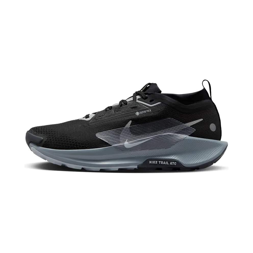 Nike Pegasus Trail 5 “Gore Tex Black” (FQ0908-001)
