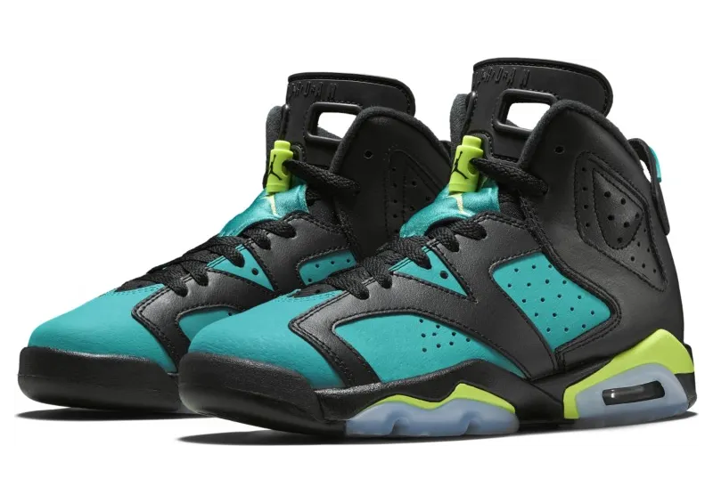 air-jordan-6 543390-043