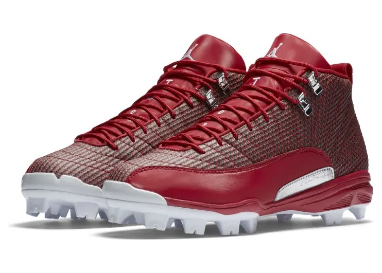 air-jordan-12 854566-600
