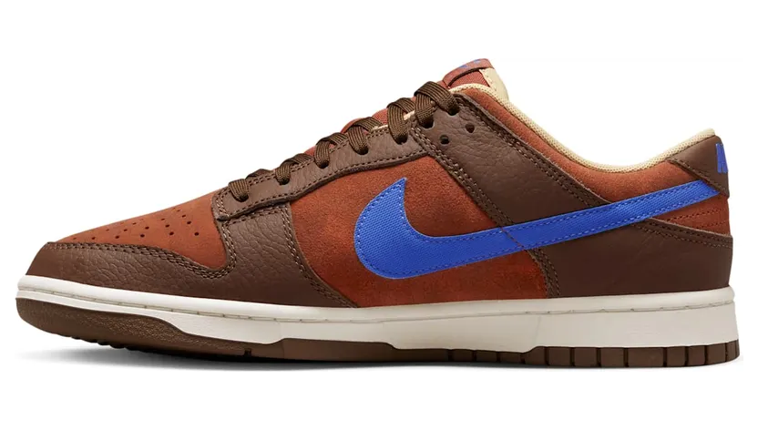 Nike Dunk Low DR9704-200