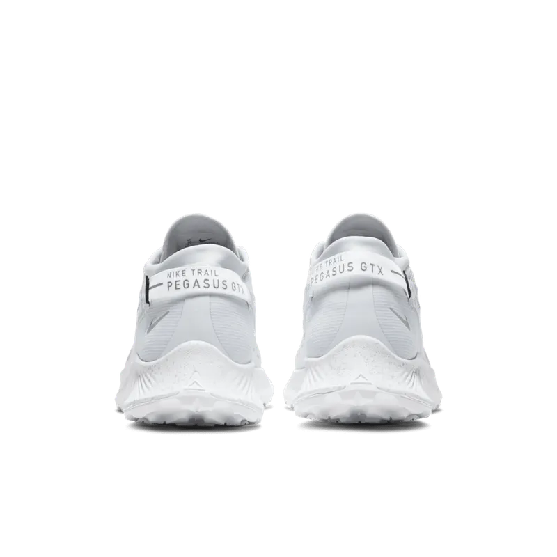 Nike Pegasus Trail 2 GORE-TEX Trail Running White (DC1933-100)