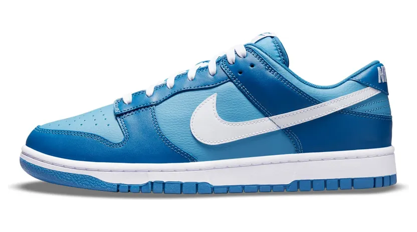 Nike Dunk Low DJ6188-400
