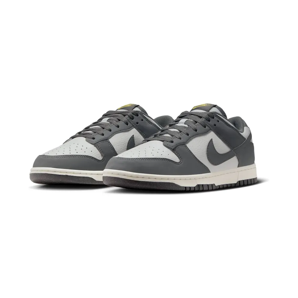 Nike Dunk Low Next Nature Iron Grey (FZ4621-001)