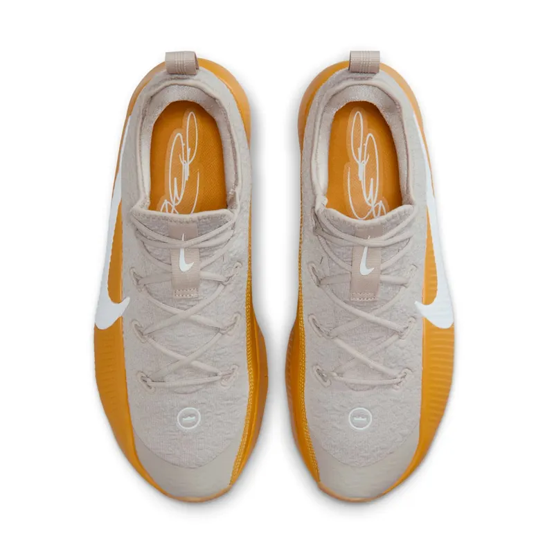 Nike LeBron Cream Ii/Gold Leaf/White (FJ6151-202)