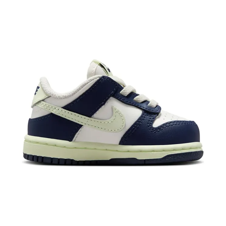 nike-dunk FB9107-127