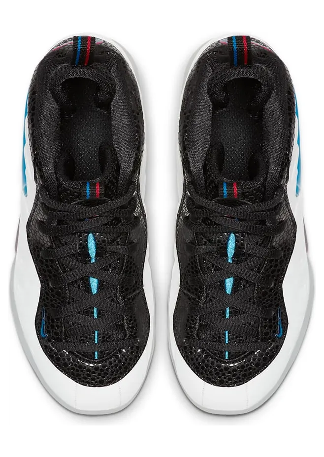 nike-little-posite-pro 843755-102