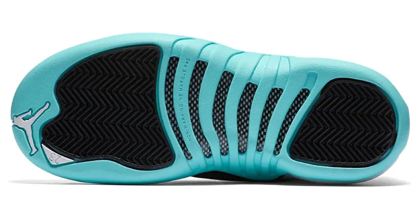 air-jordan-12 510815-100